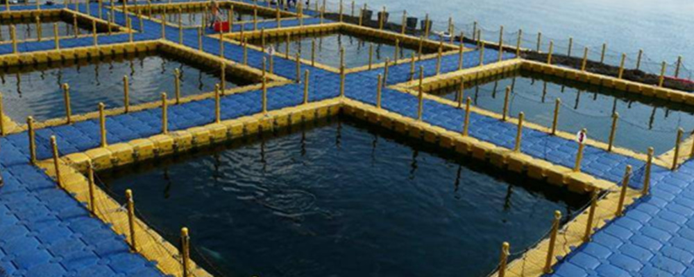 Offshore-Fish-Farming