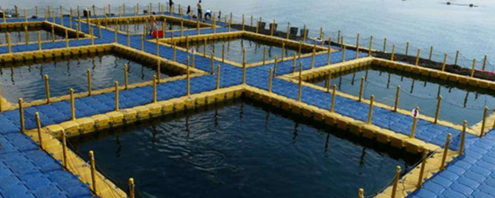 Aquaculture